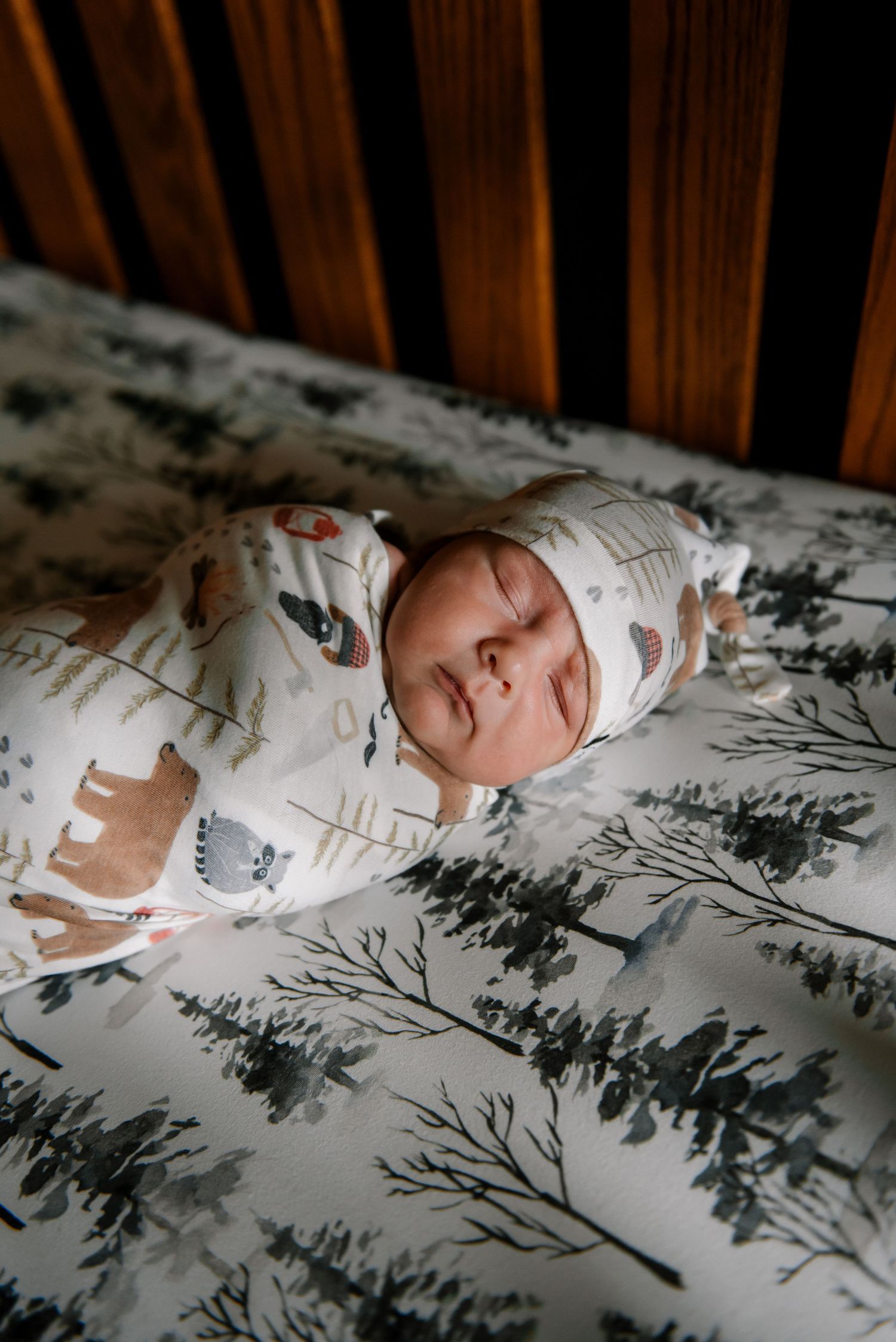 Peaceful newborn sleeping on woodland-patterned bedding in natural light.