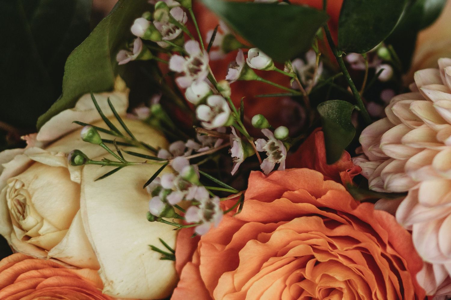 Close-up of coral roses and white flowers in a romantic wedding bouquet arrangement.