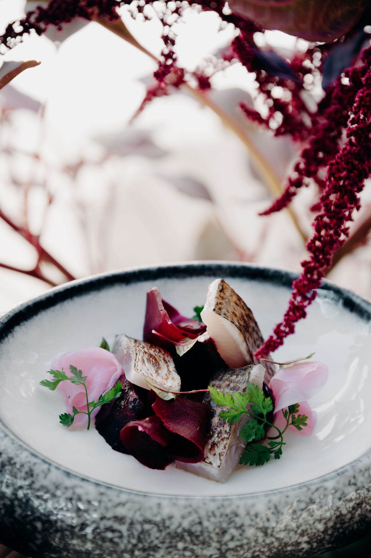 photographe culinaire chamonix megeve, photographe restaurant haute-savoie annecy, les gets, morzine