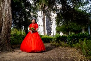 Red ballgown creates dramatic contrast against a wooded forest backdrop.