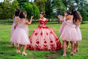 Festive group photo with pink tulle dresses and a red ball gown in a garden setting.