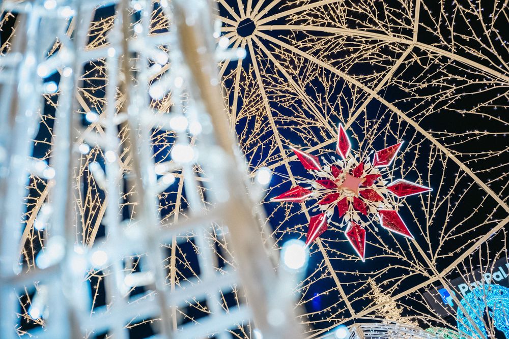 A red and blue star decoration viewed through white illuminated branches.