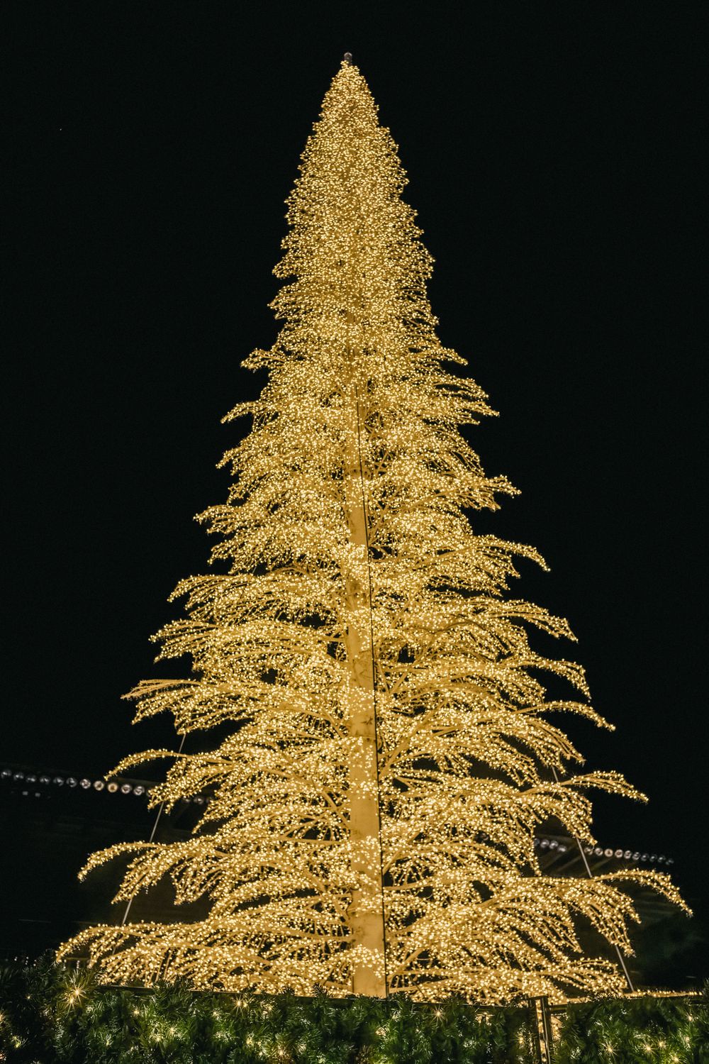 A towering golden Christmas tree illuminated against a dark night sky.