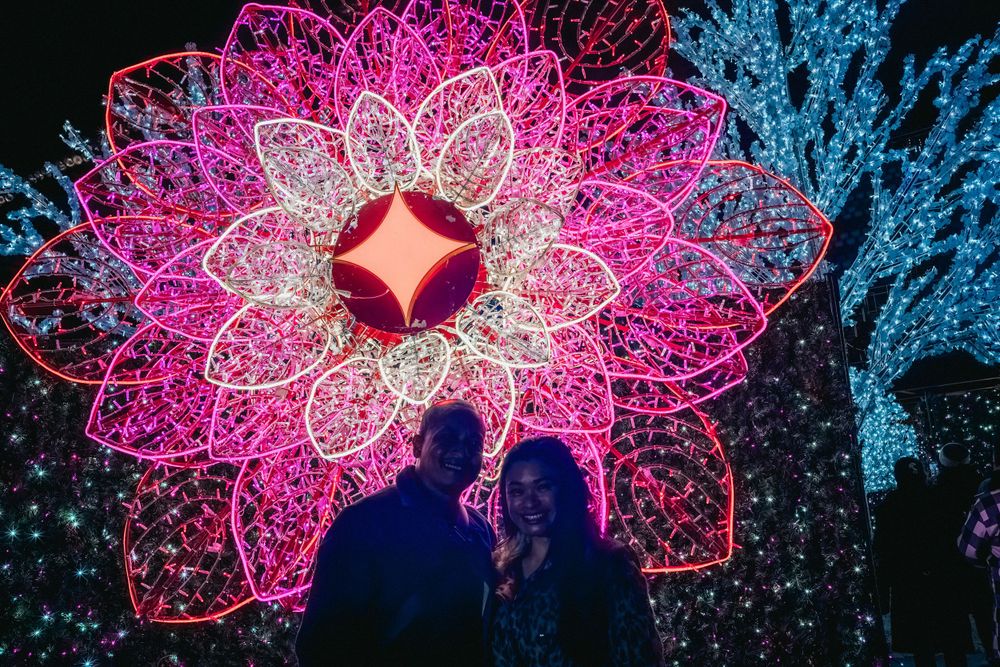 A large pink illuminated flower decoration creates a magical nighttime scene.