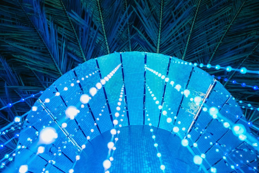 Blue LED lights create a geometric tunnel effect with palm fronds visible overhead.