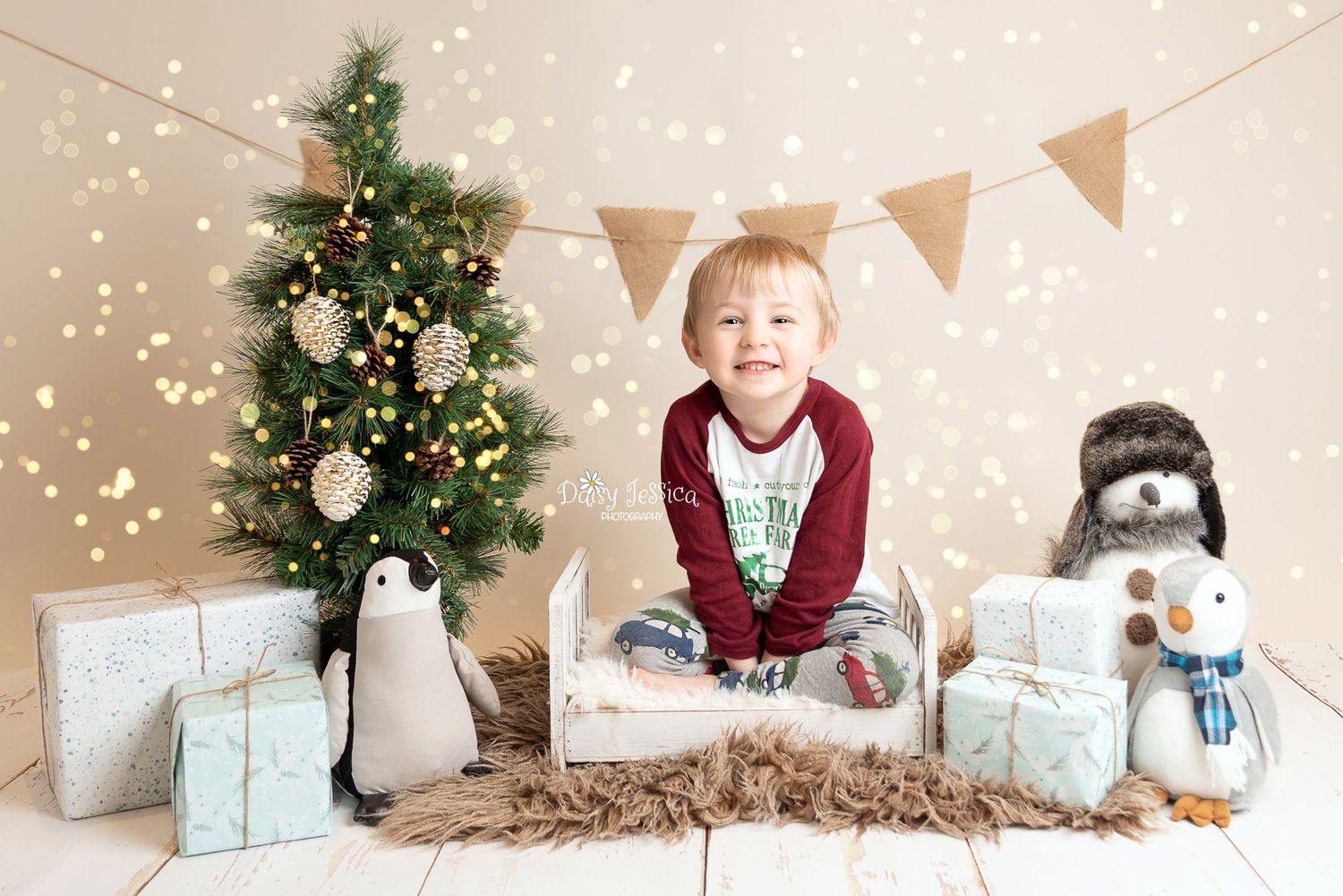 Christmas mini session photoshoot tyac
