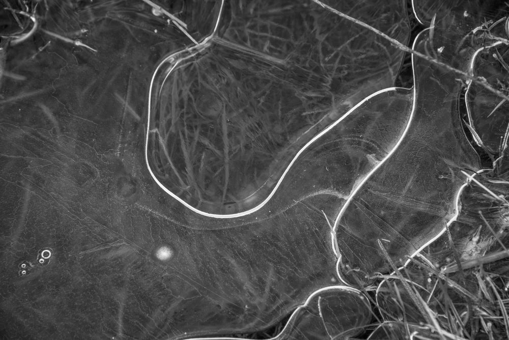a beautiful rhythmic crack in transparent ice, through which you can see the reeds in black and white