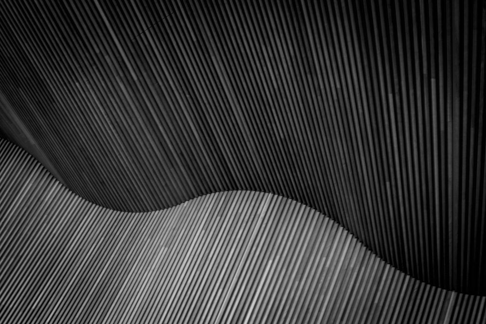 a rhythmic photograph of a waving wooden ceiling in black and white