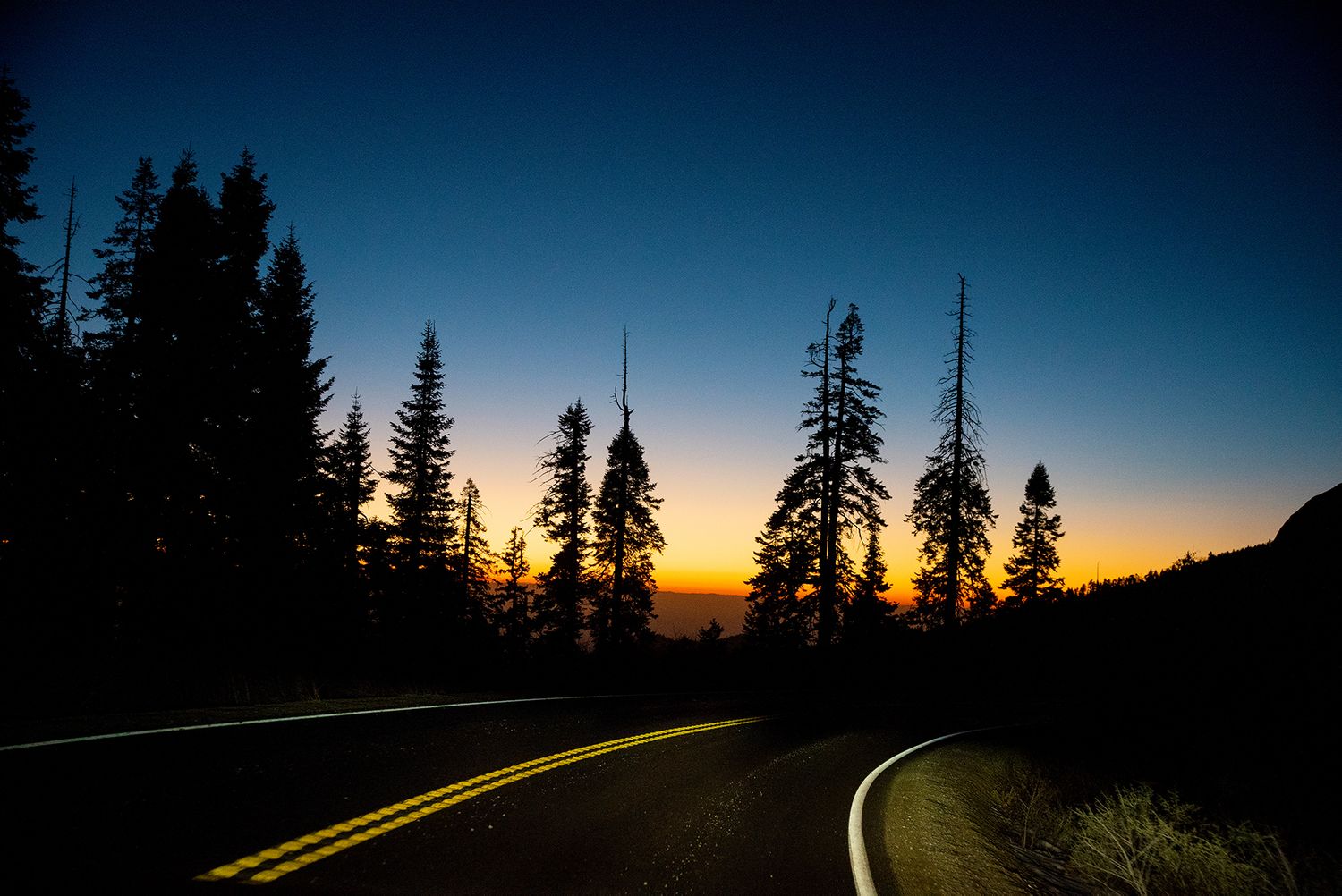 Nature photography