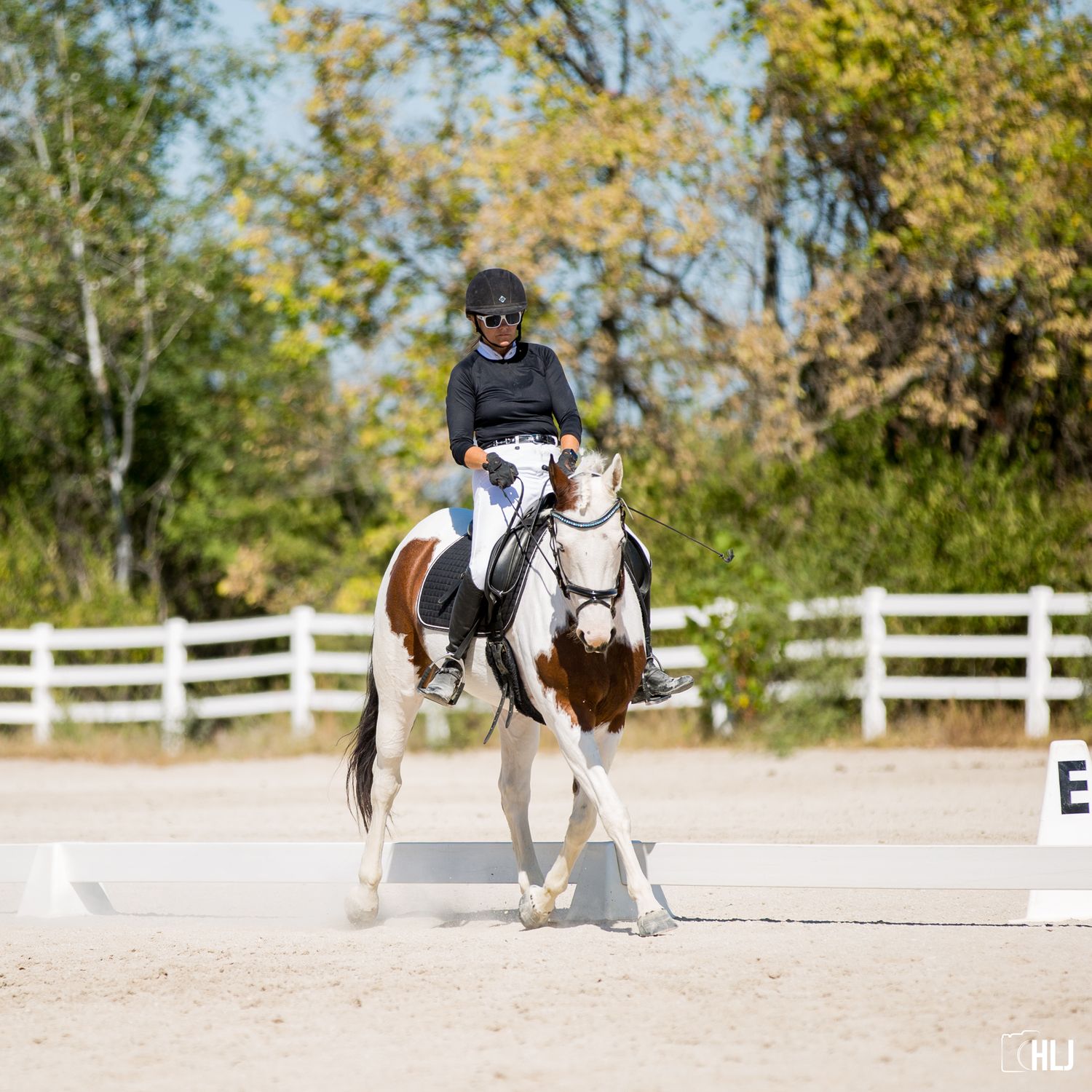 Dressage rider performing test on white horse in outdoor arena with fall foliage.