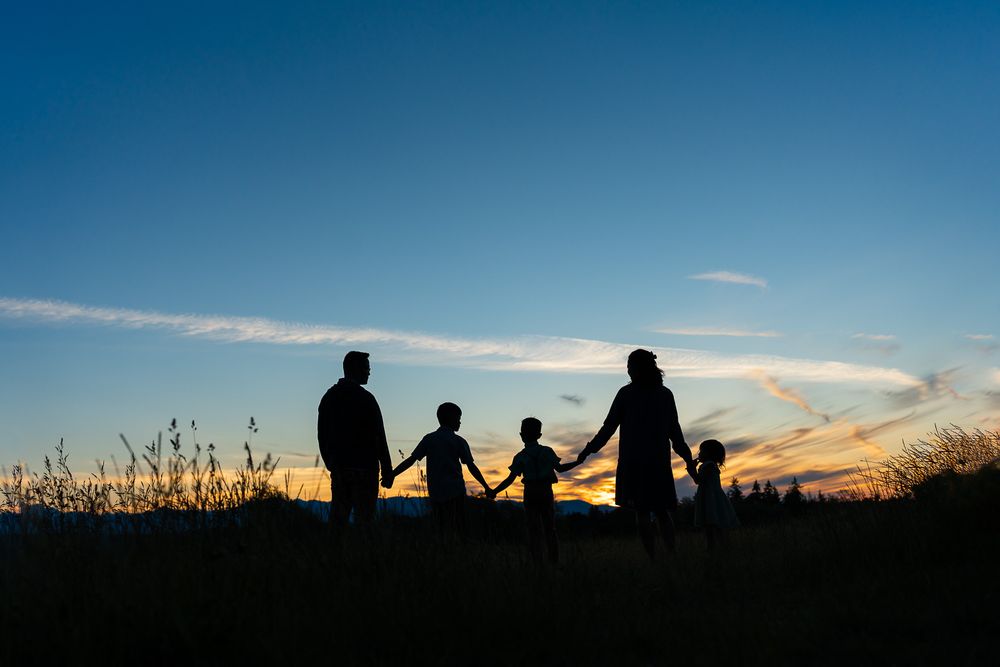 Silhouette photo at Discovery Park