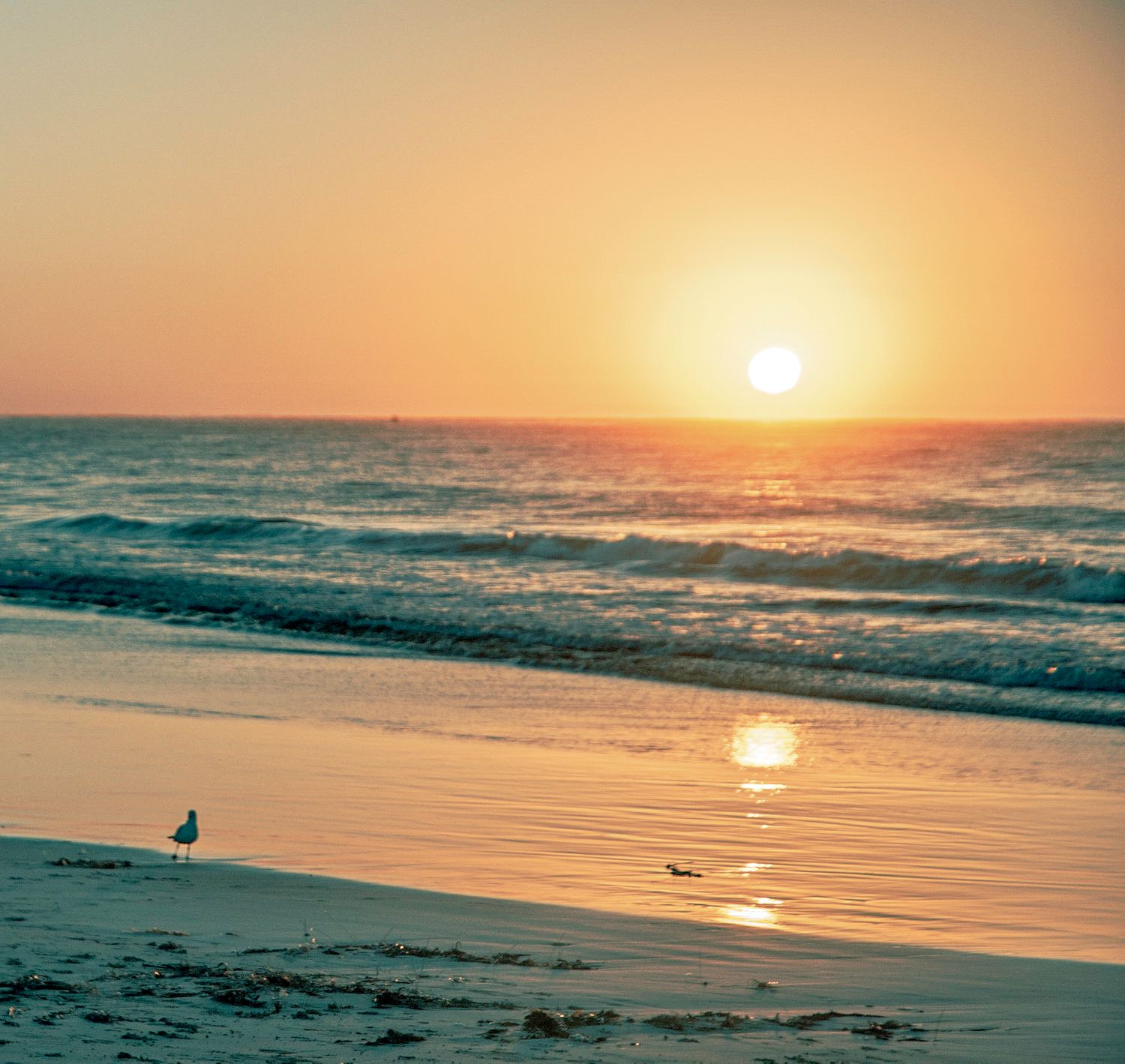 Sunrise