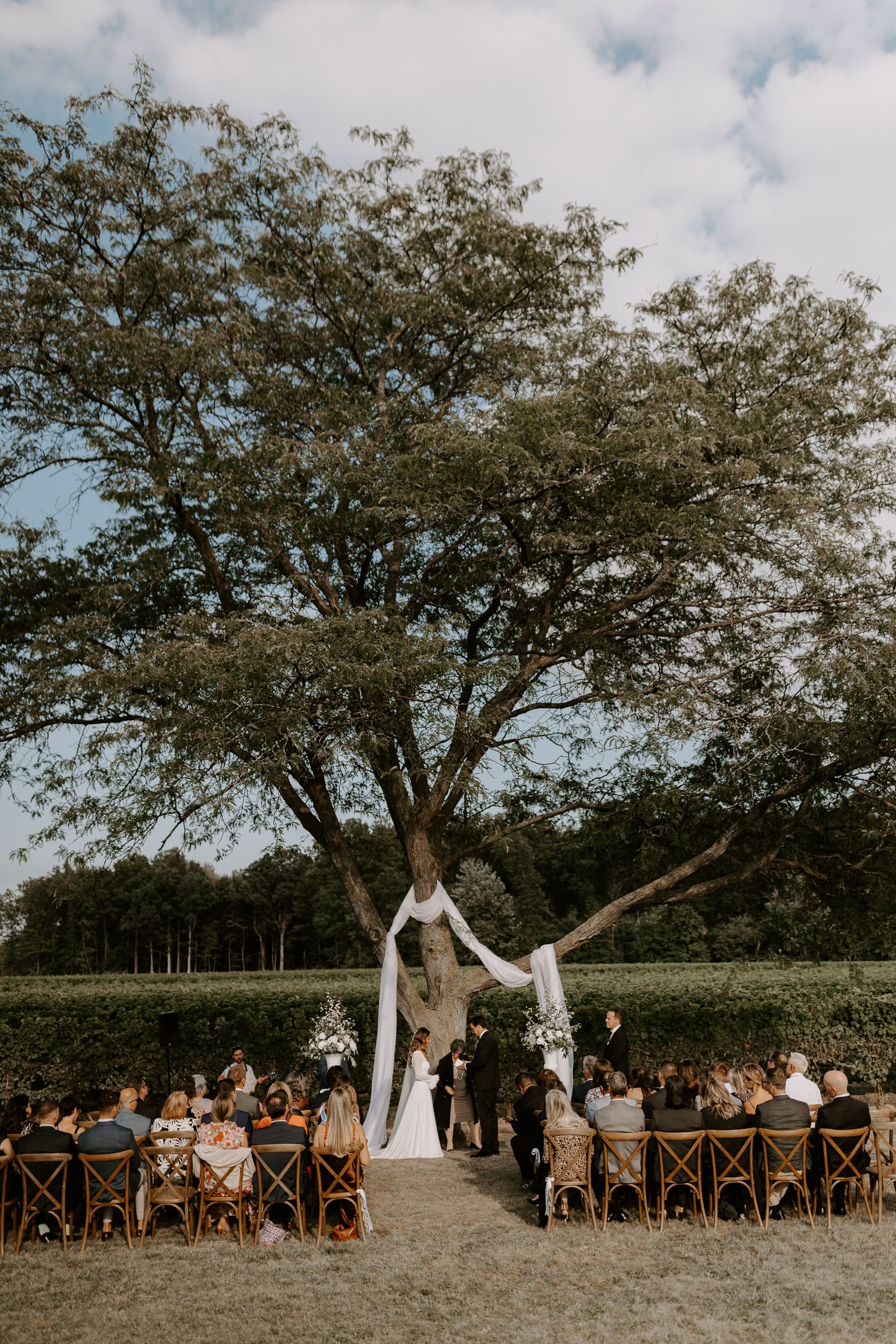 wedding niagara on the lake hare wine co tuscan italian style