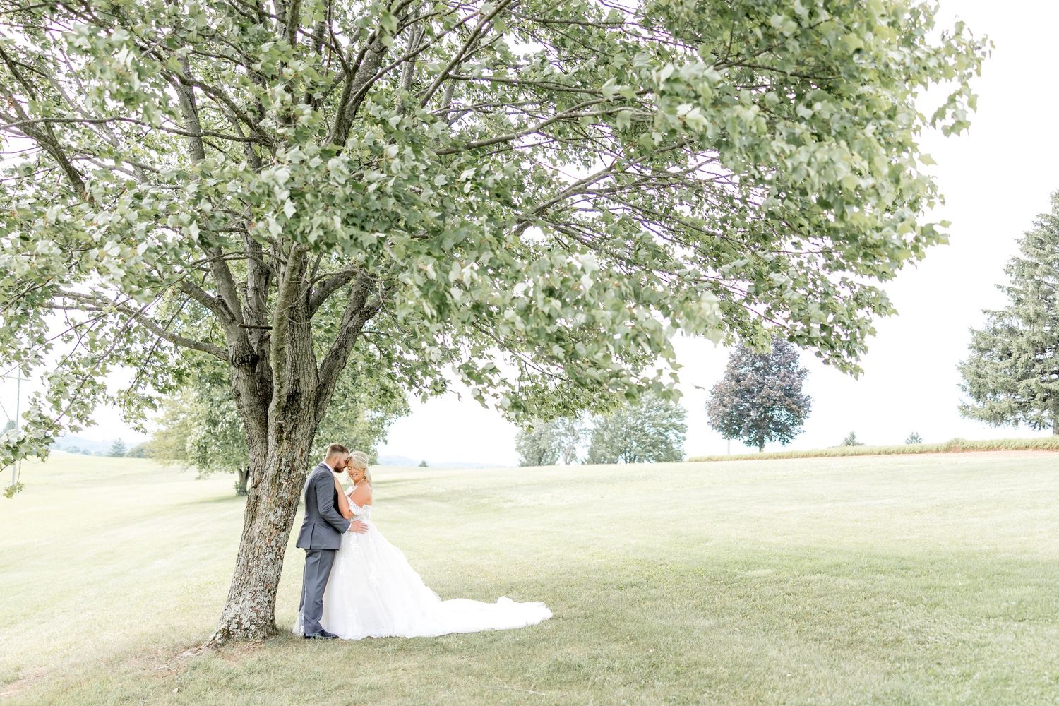 Wedding Photography Mt Pleasant