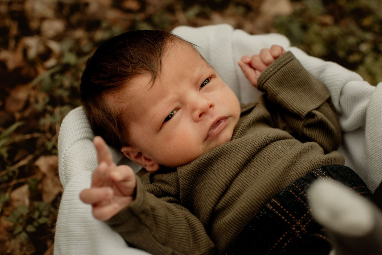 Newborn in a basket