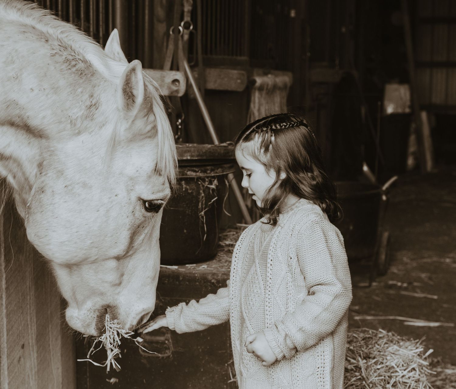 Western little girl feeding horse