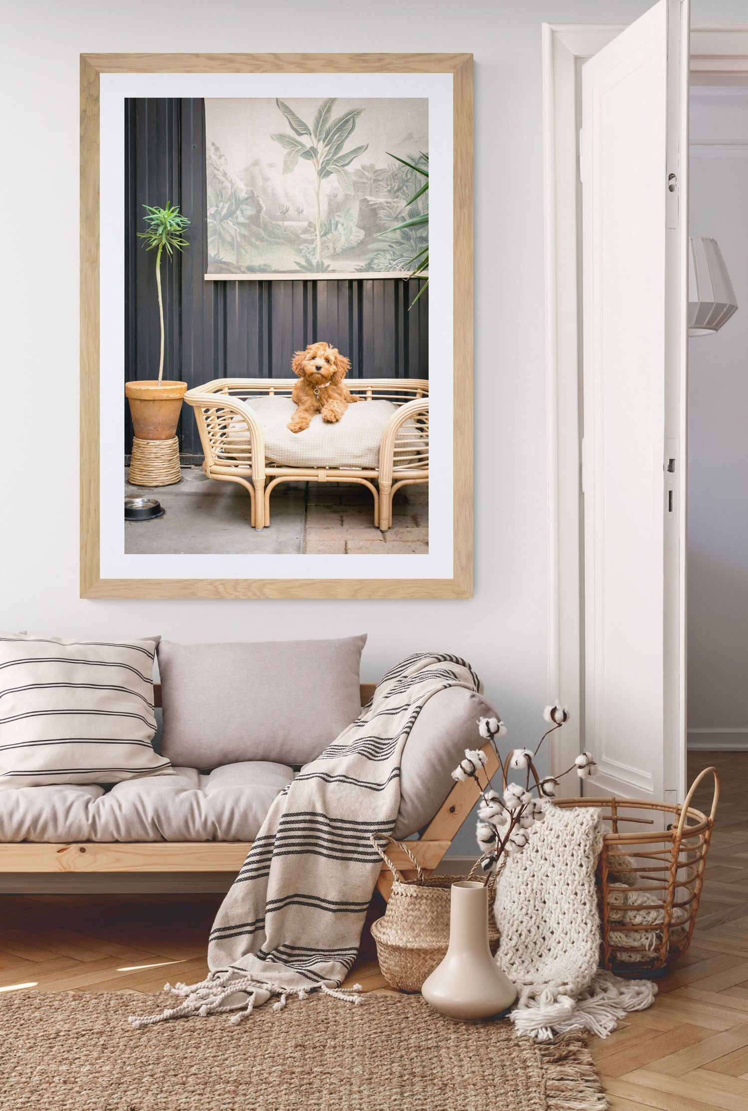 Adelaide Pet Photography