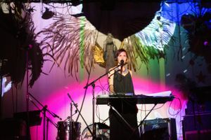 Concert venue decorated with palm fronds and illuminated by rainbow-colored stage lights.