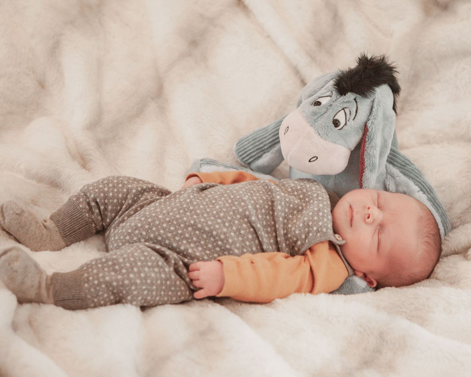 New born at home photo shoot with Cornwall new born photographer baby and eeyore