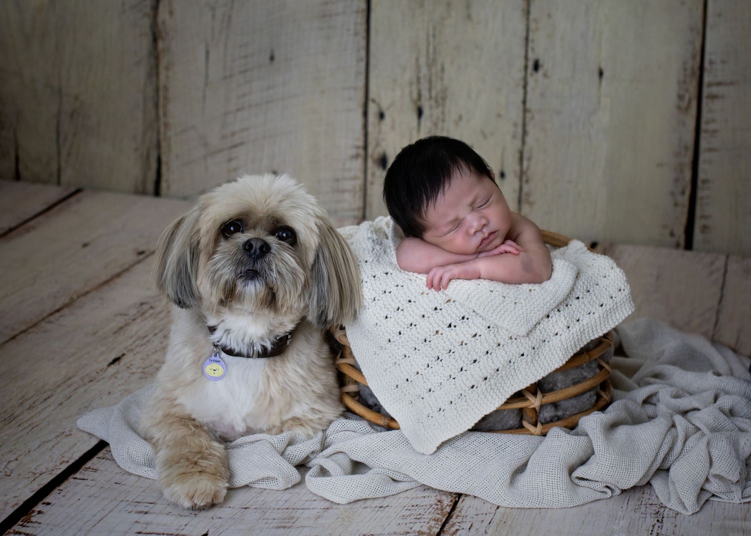 Newborn Photograph