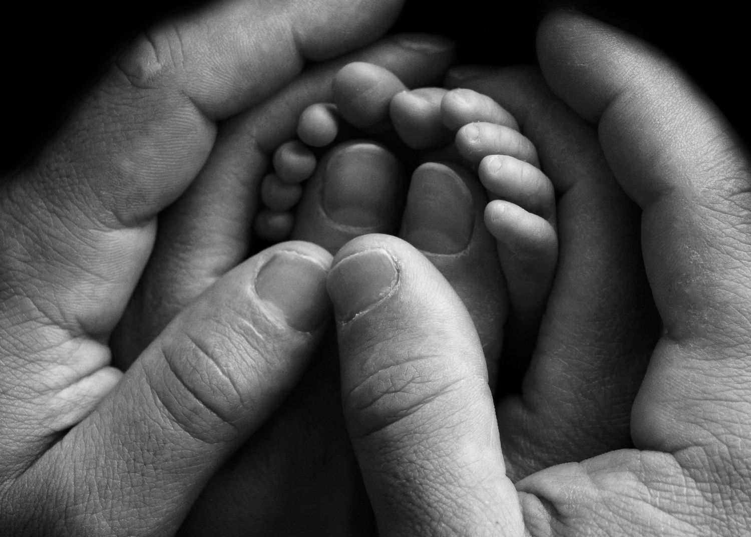 Newborn Photograph