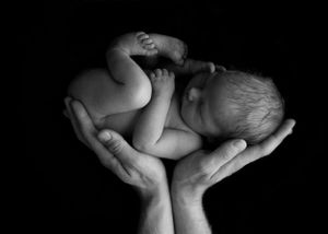 Newborn Photograph