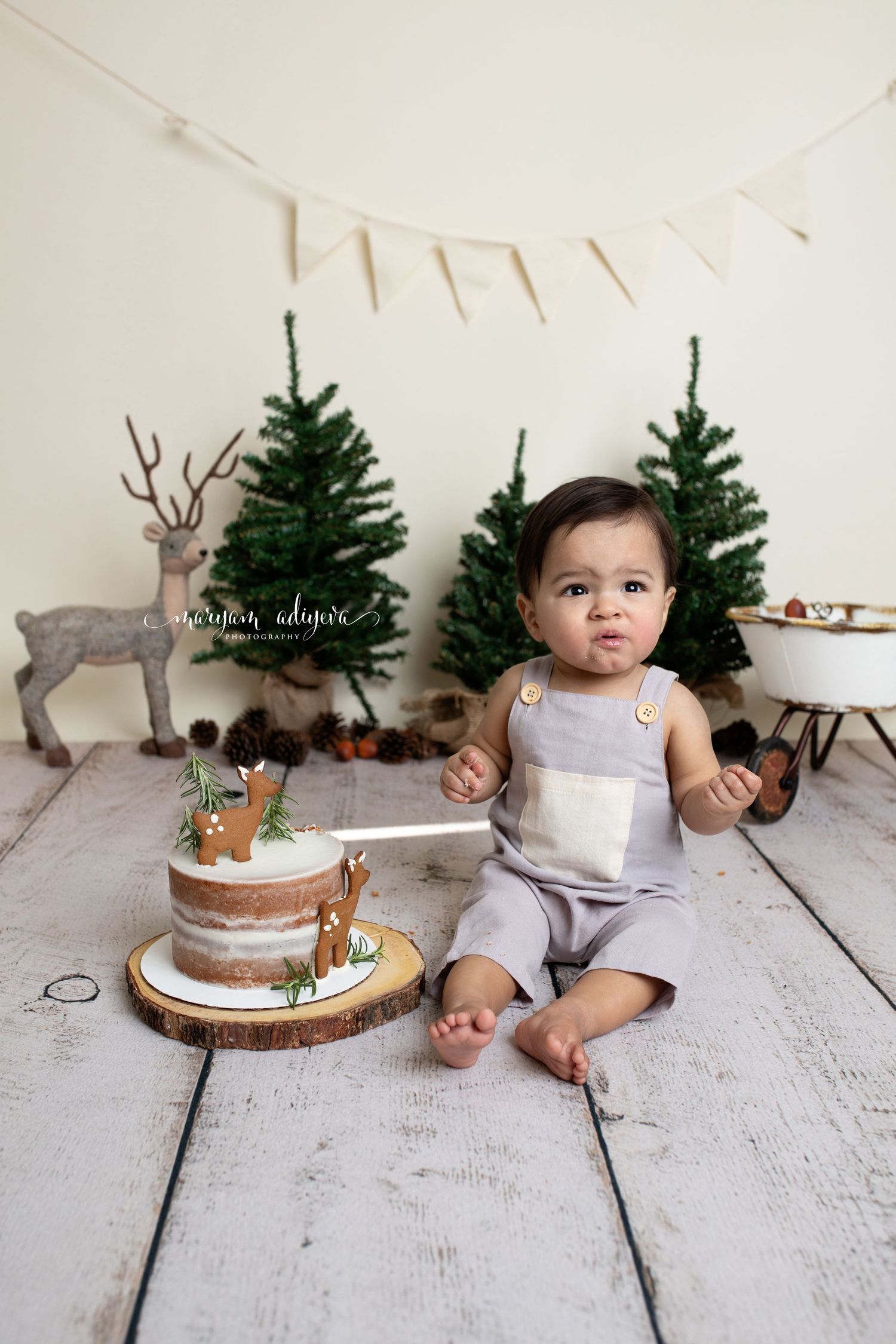 woodland cake smash session near me