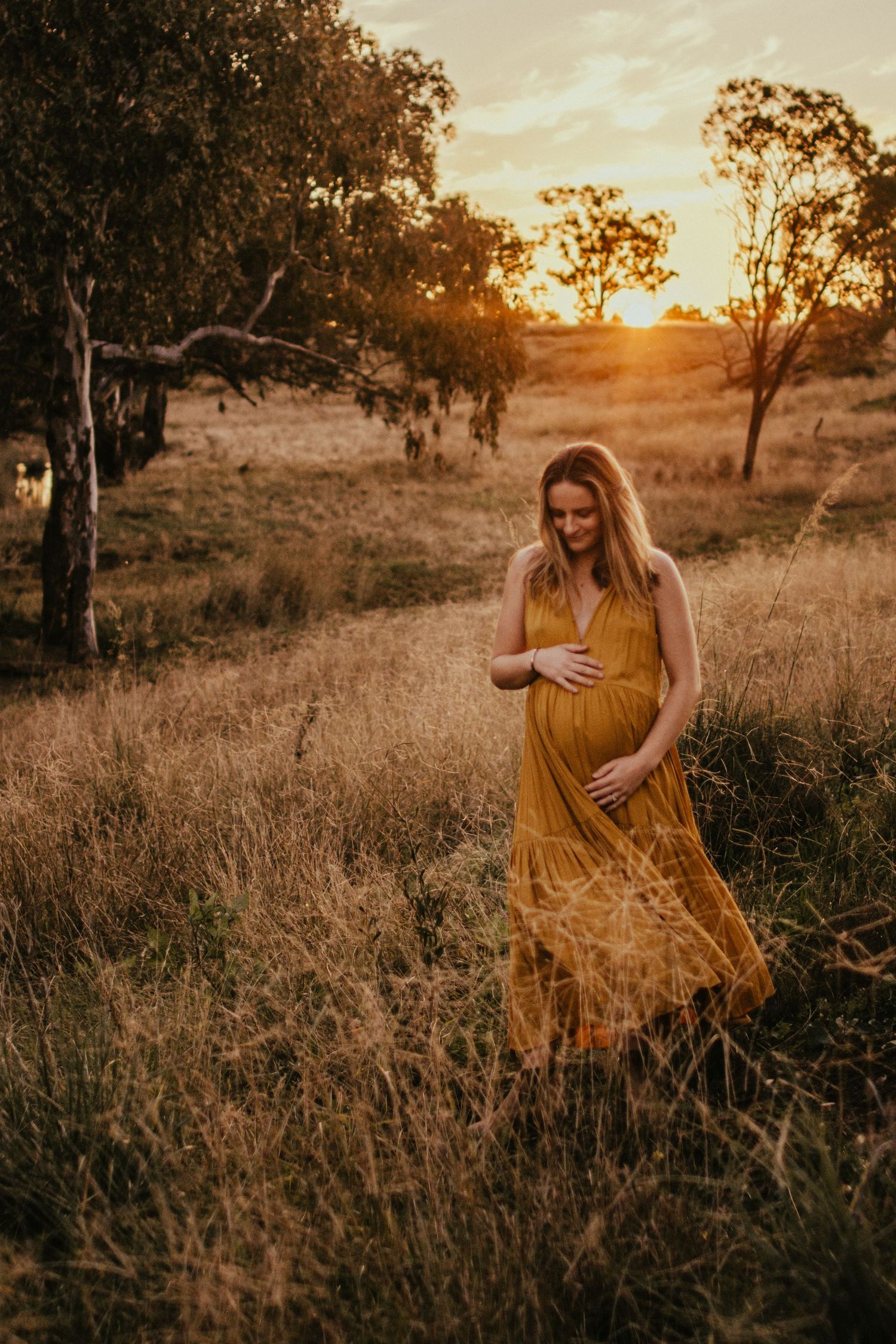 a pregnant mum, walking in golden long grass paddock in a long golden dress, looking down at her baby to come.