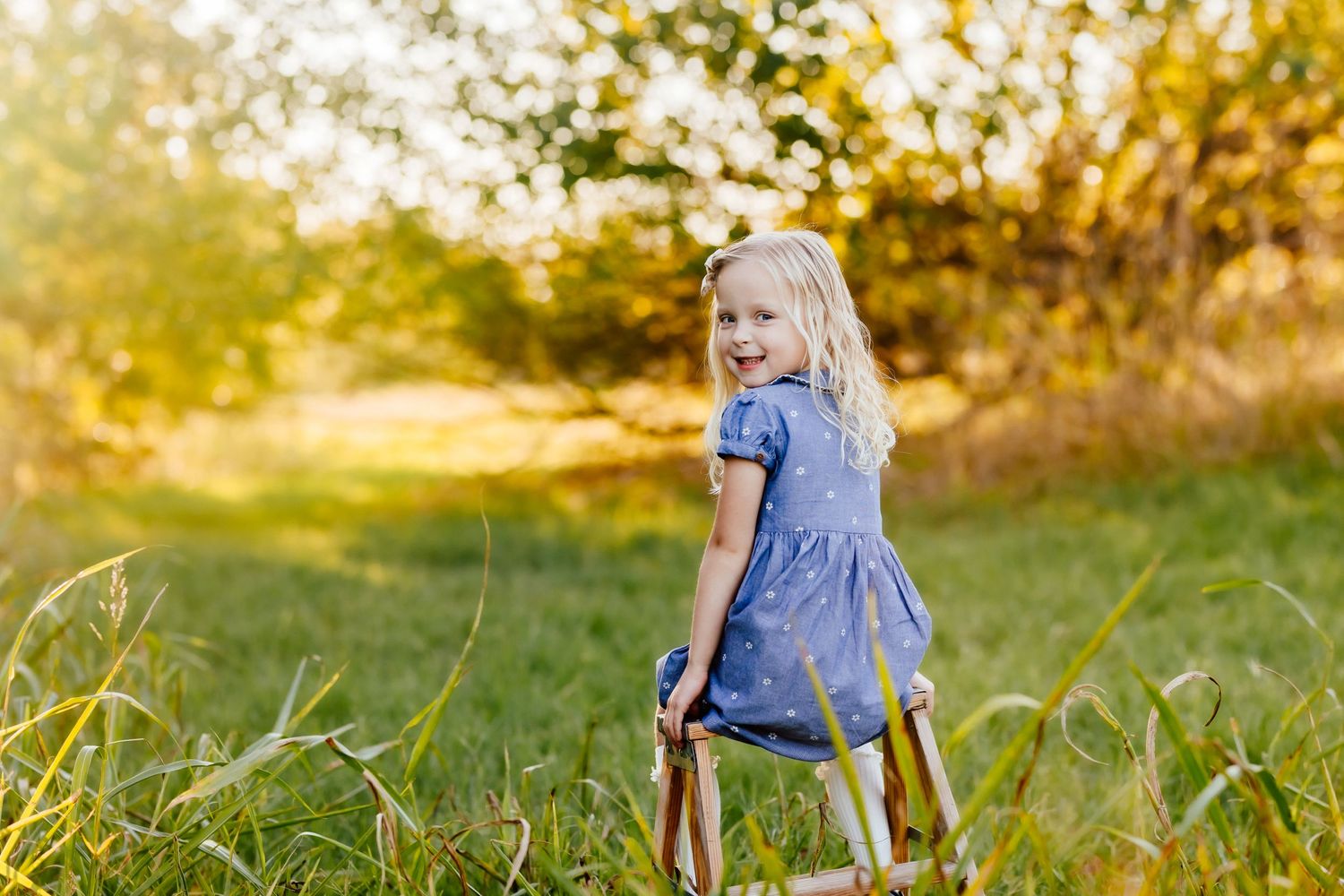 Young child in blue dress stands in sunlit meadow during golden hour.