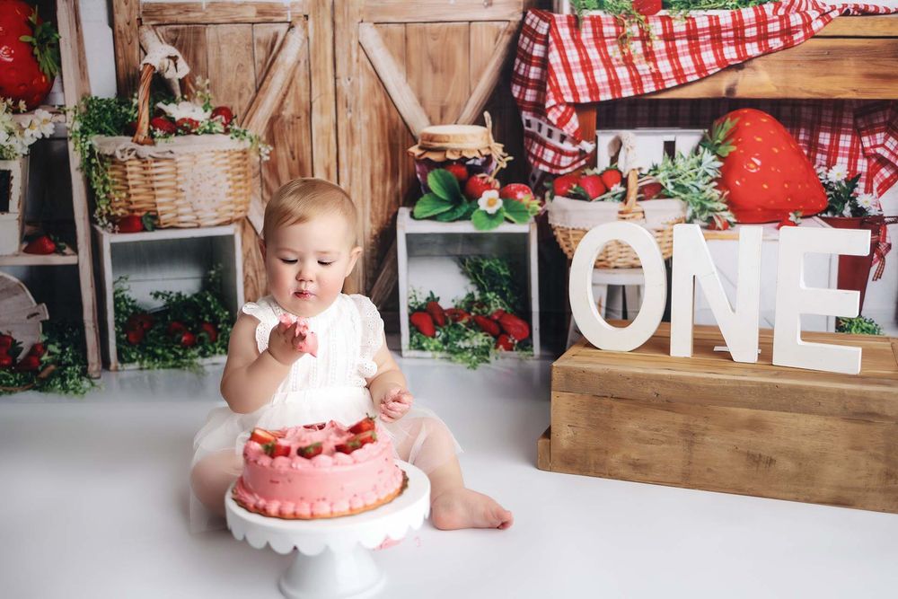 tampa cake smash photographer