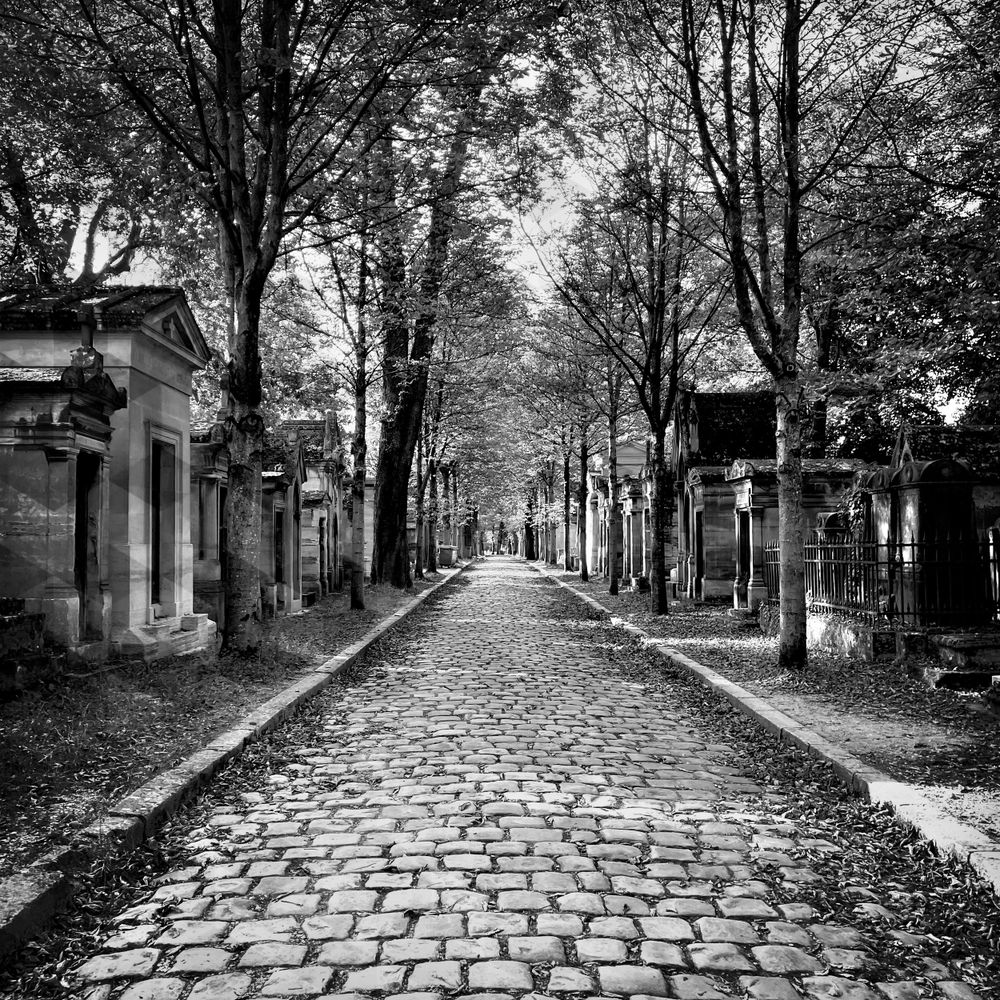 Where is Richard Wright? (Père Lachaise Cemetery, Paris, France) - Leading lines, road through cemetery