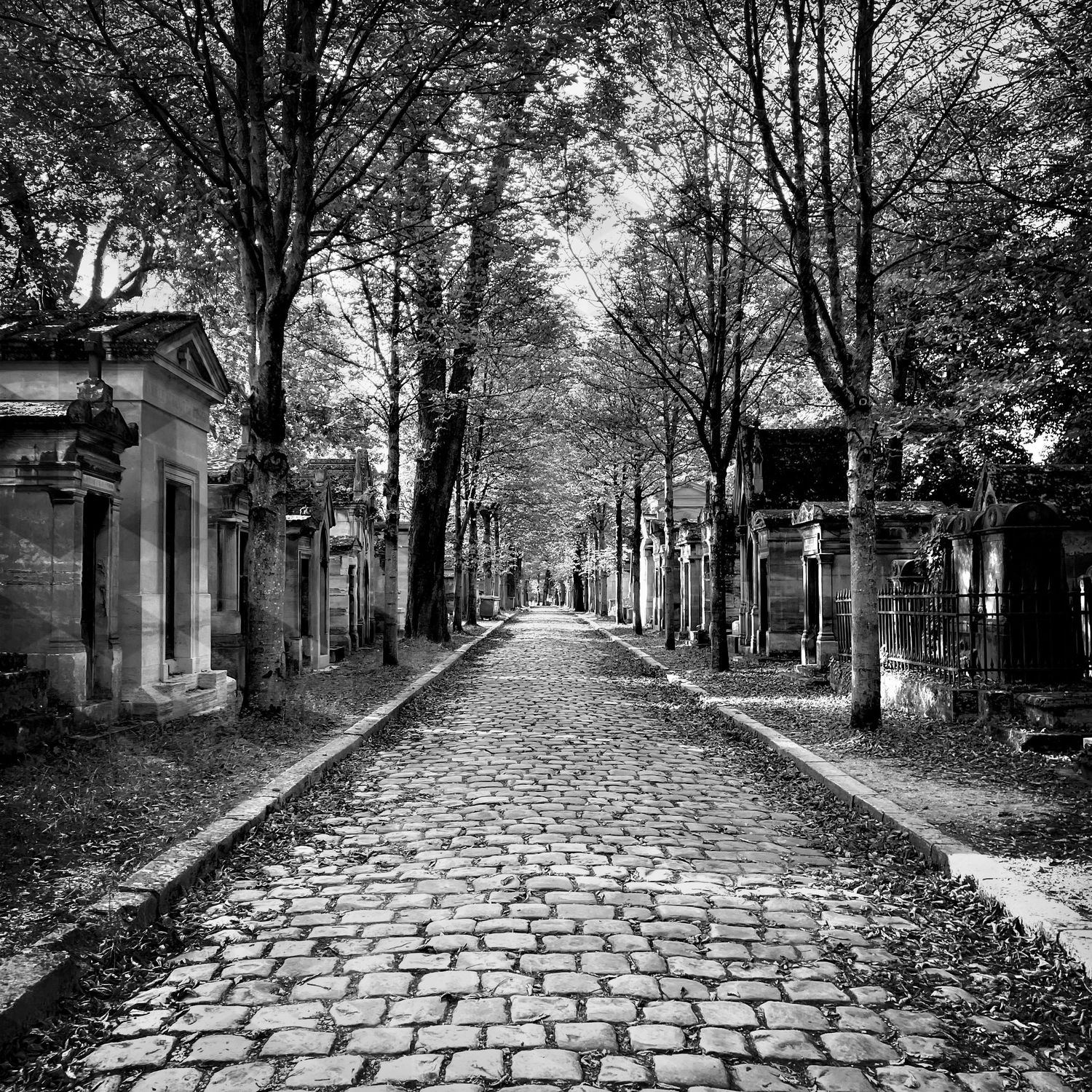 Where is Richard Wright? (Père Lachaise Cemetery, Paris, France) - Leading lines, road through cemetery