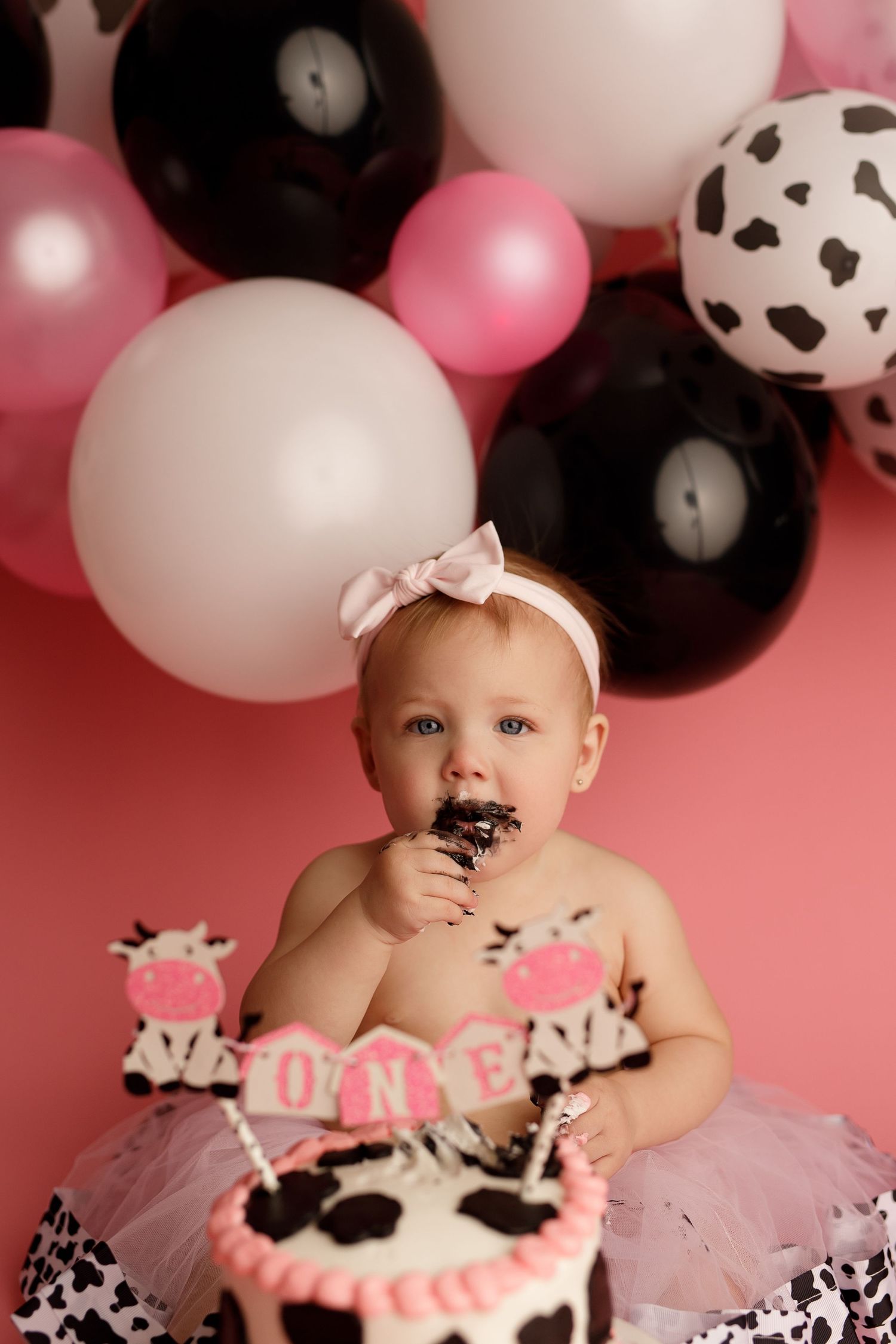 Cake Smash Mini Sessions, Andover KS Baby Photographer, baby photography packages