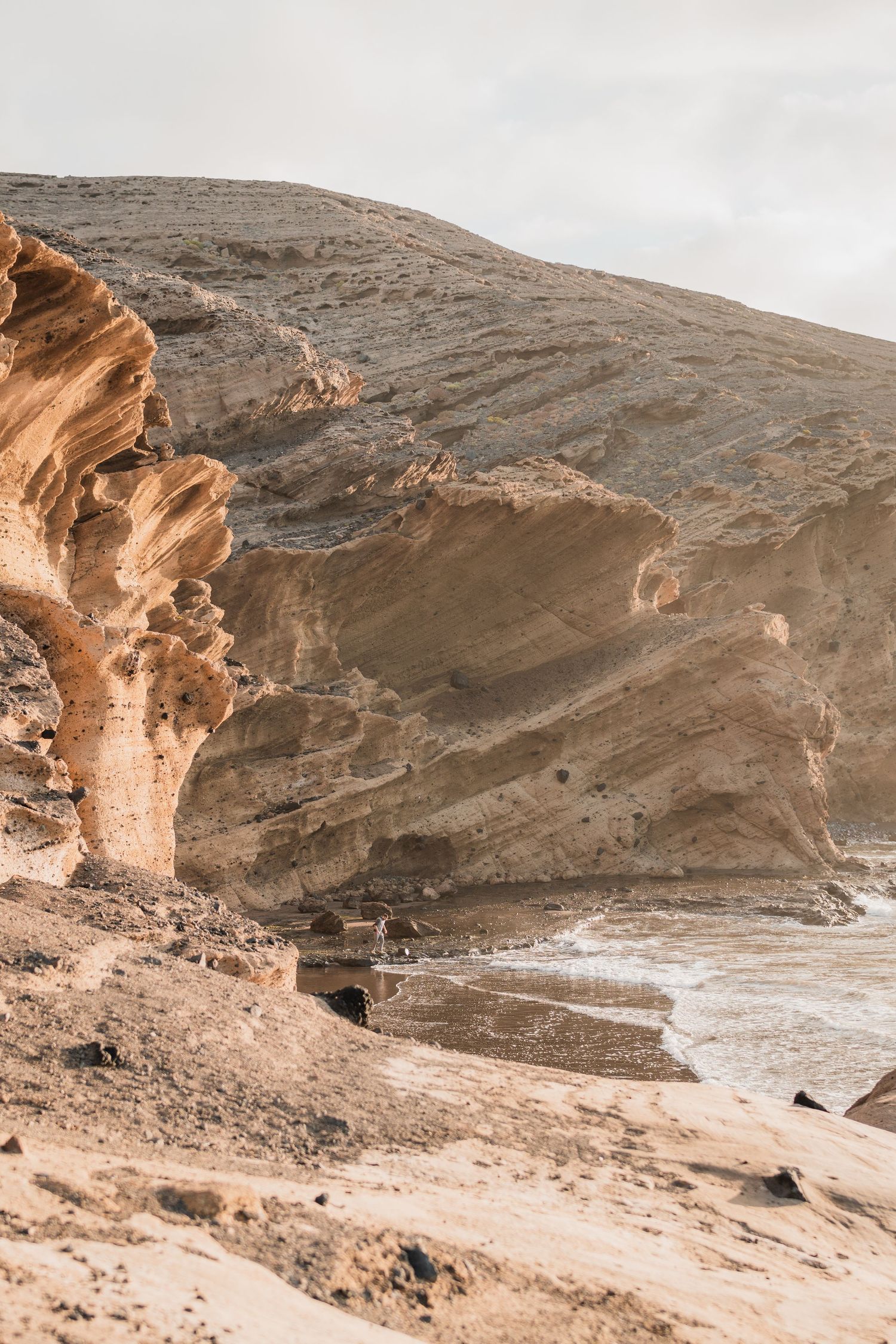 nature photo tenerife