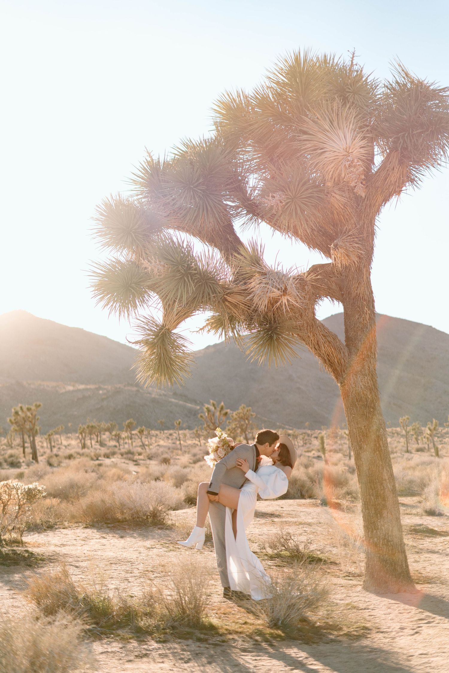 a bride in a boho gown and a groom in neutral wedding attire kiss in front of a joshua tree during a joshua tree park elopement