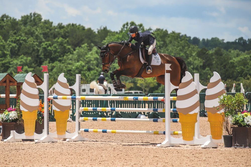 bay horse and rider jump ice cream themed oxer