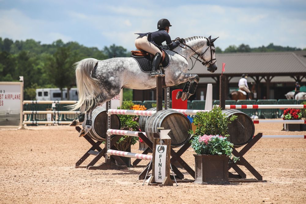 grey horse and rider jump barrel oxer