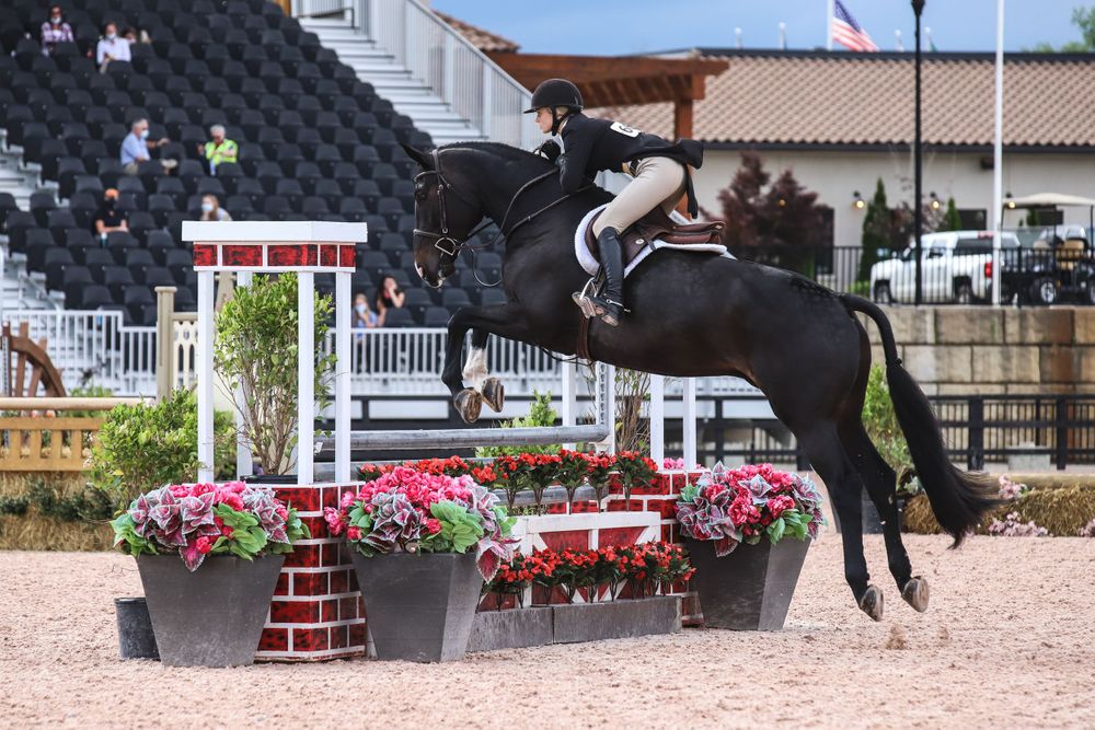 black horse and rider jump hunter oxer