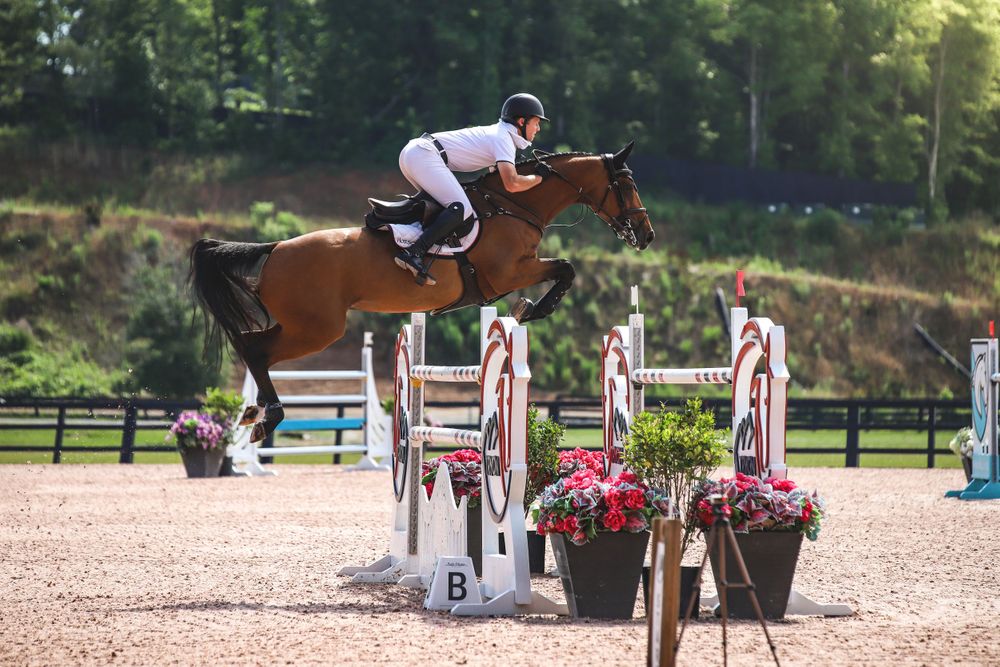 bay horse and rider over oxer