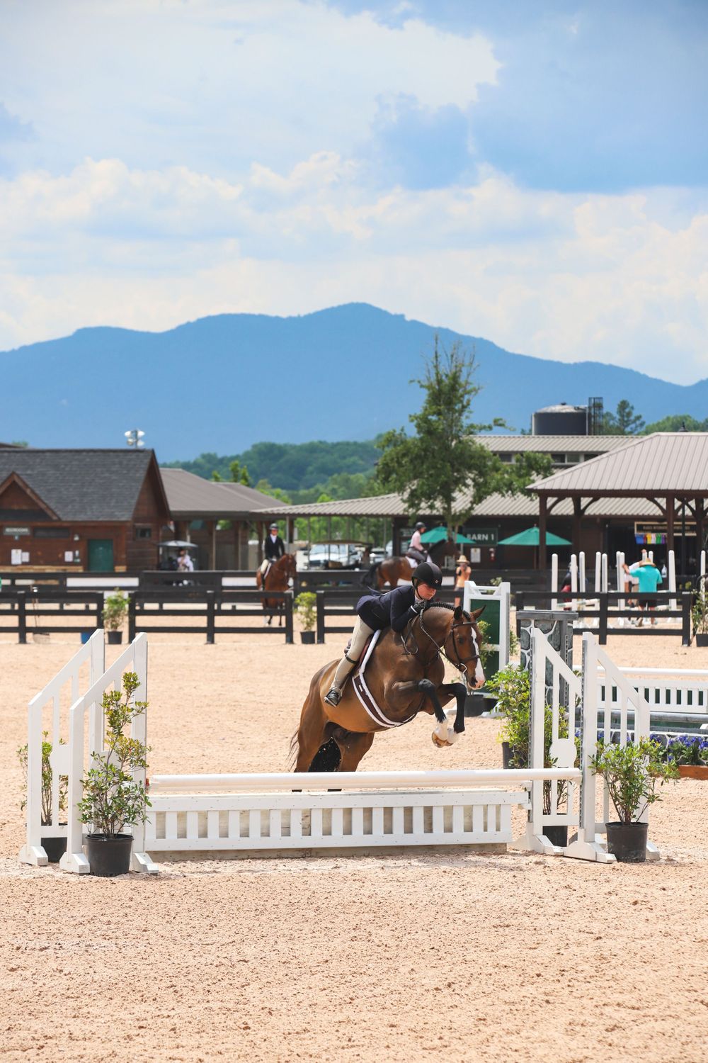 childs hunter and bay horse jump oxer with mountain view