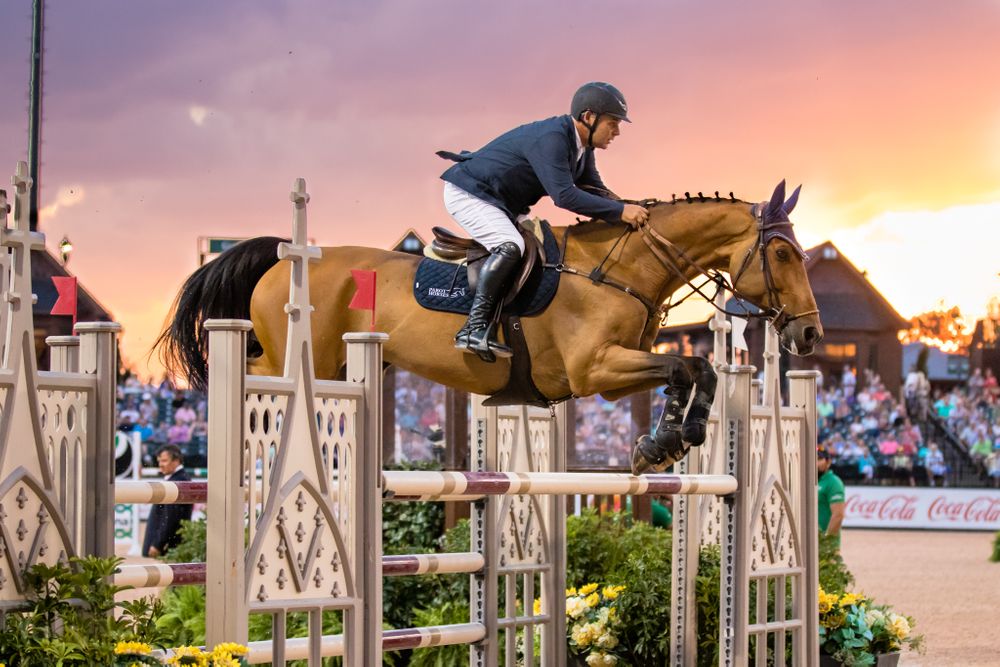 bay horse over Biltmore Estate themed oxer at sunset