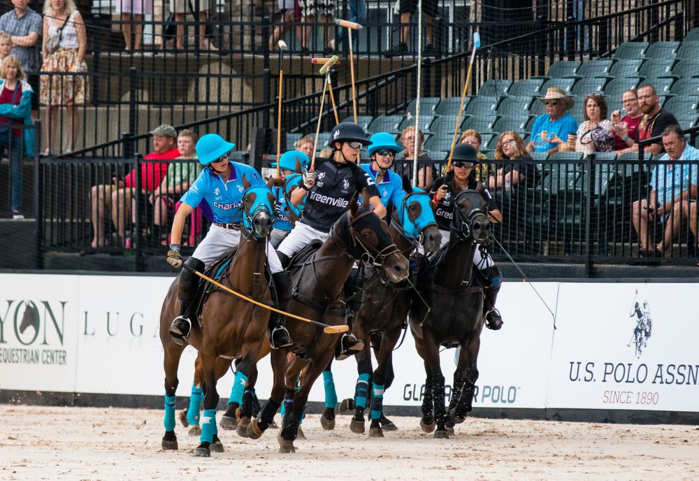 polo ponies and riders crowd around ball