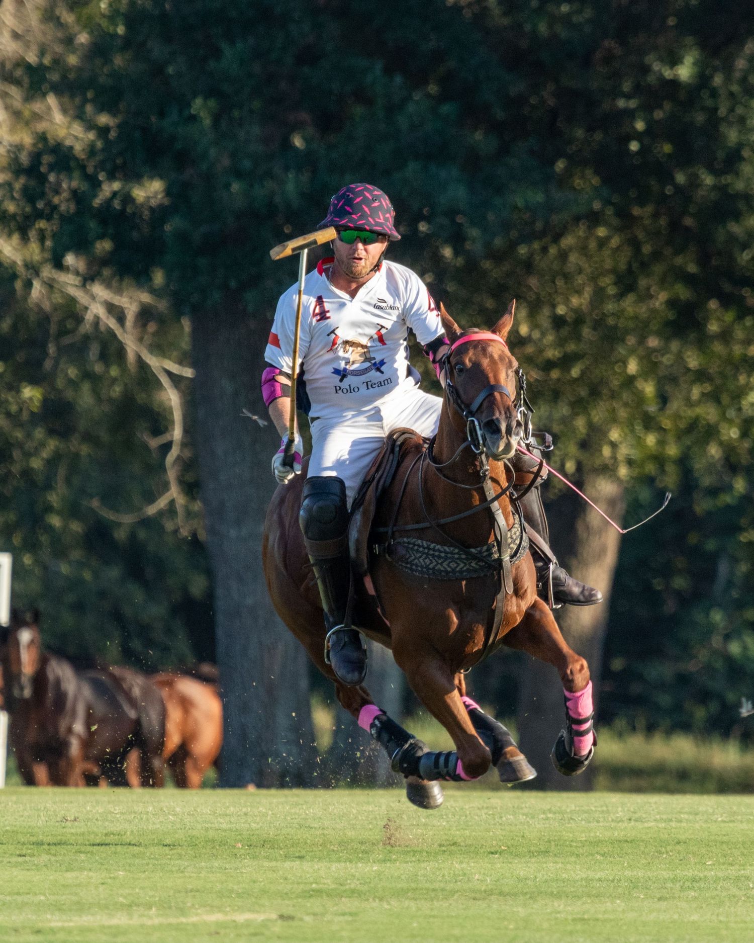 Polo