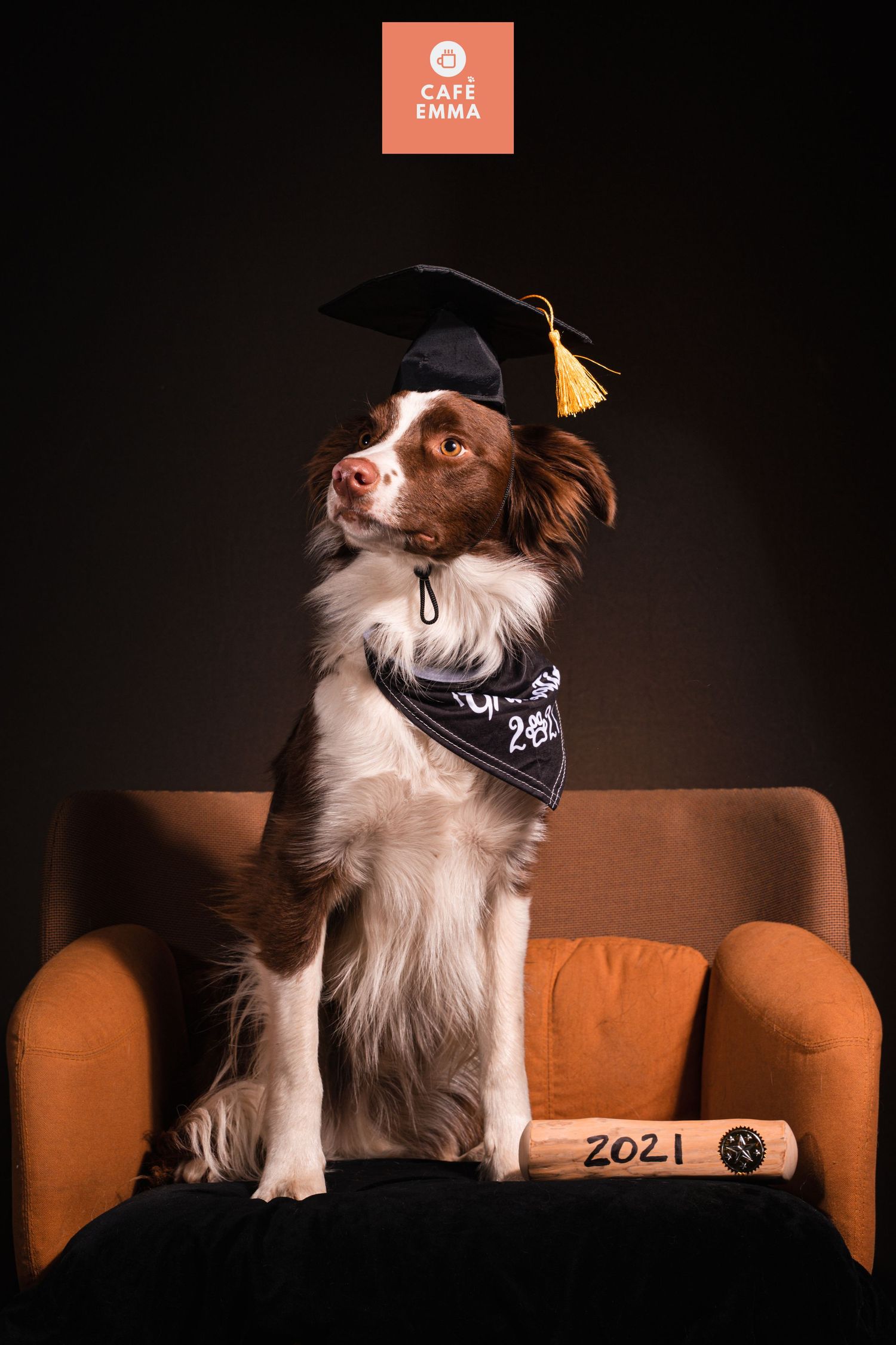 Photographe Canin