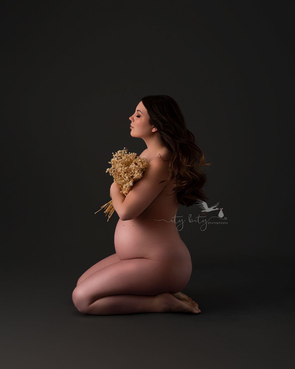 Maternity Photography Session Ity Bity Photography Cleveland Ohio