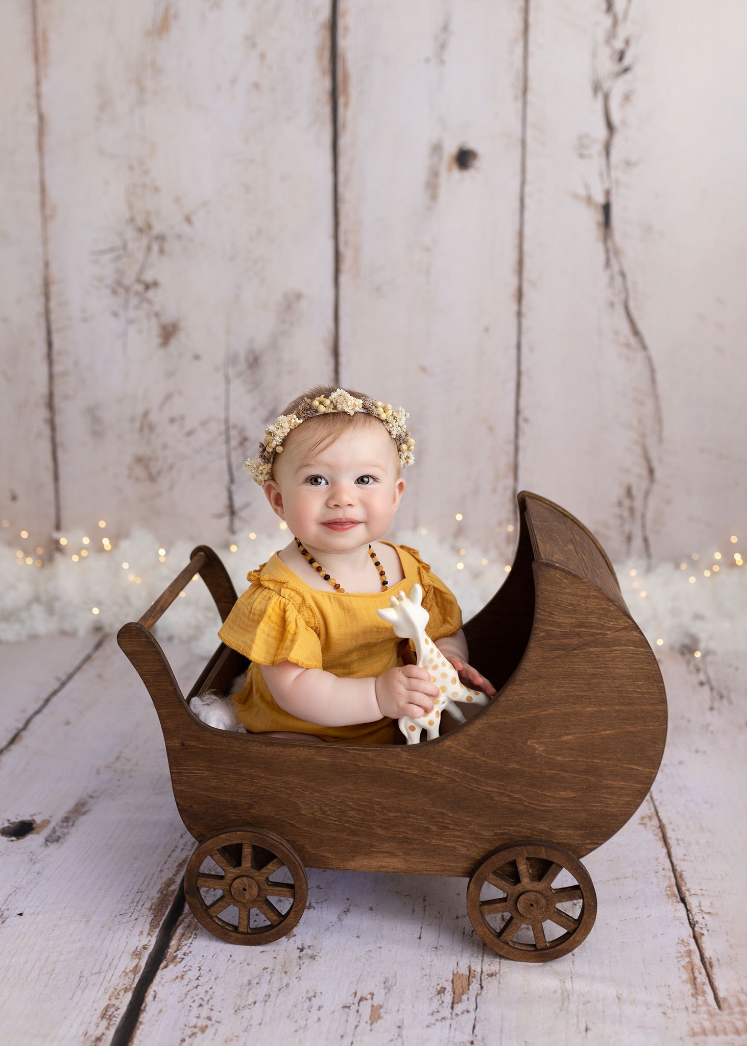family photos in studio cork baby in buggy