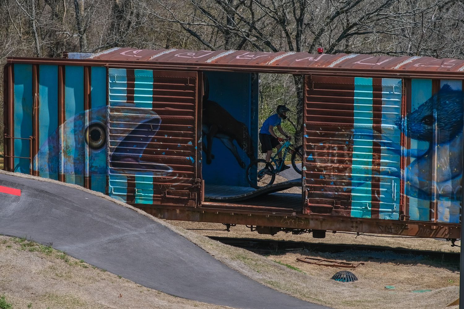 Guy on bike at the Railyard Bike Park in Rogers, Arkansas for a family lifestyle photography session.