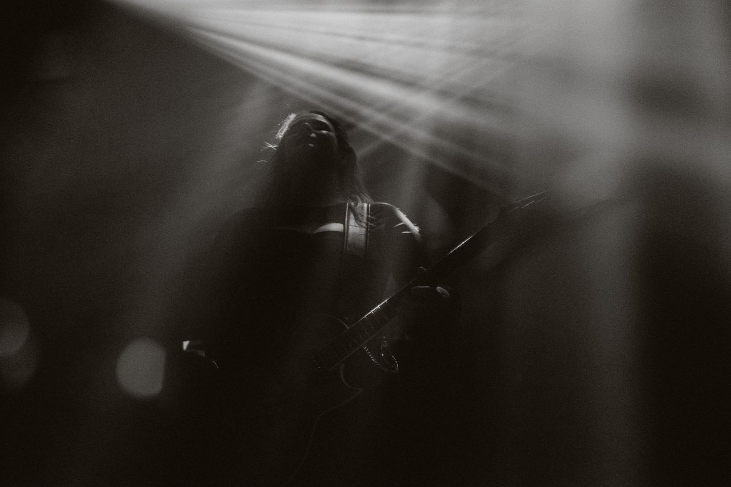 photographe concert paris