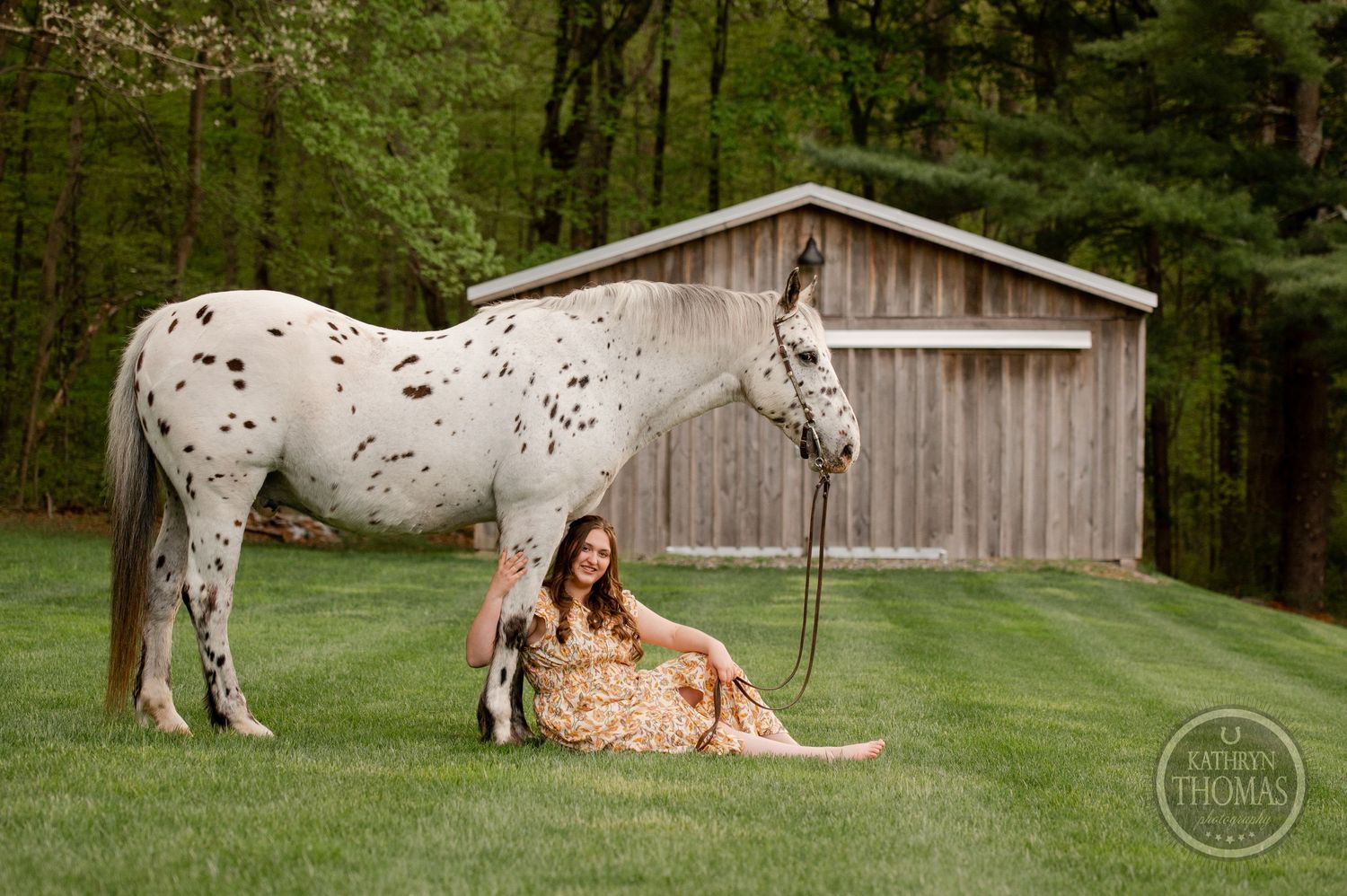A spotted white horse rests near a wooden barn while someone sits nearby on the grass.