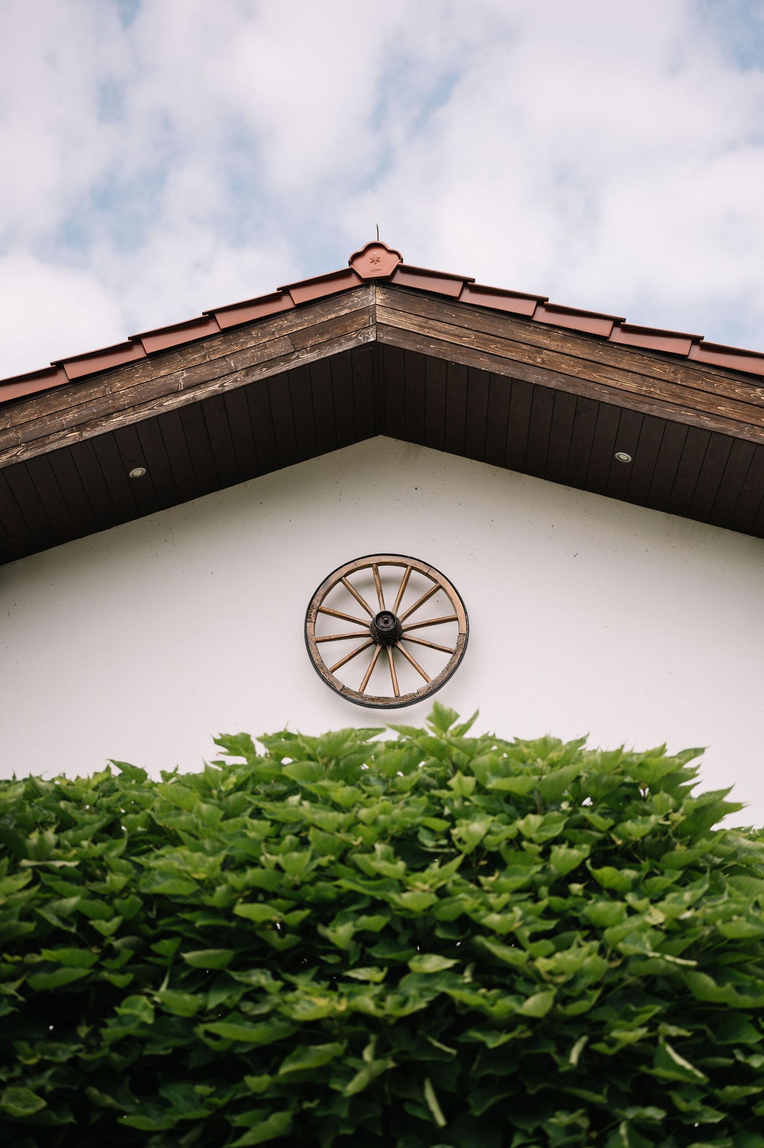 Decorative wagon wheel mounted on white building facade above manicured hedges.